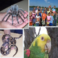 animal-wonders-mo-bug-parties