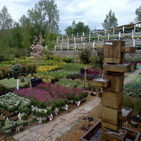 bayer's-garden-shop-gardens--arboretum-mo