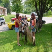 cathy's-custom-parties-&-ponies-farm-animal-parties-in-mo