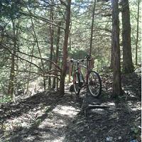 honey-run-mountain-trail-biking-missouri