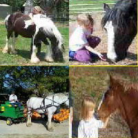 karens-pony-rides-and-petting-zoo-mo-farm-animals-party