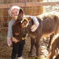 lebrells-barnyard-buddies-mo-farm-animal-party