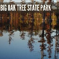 big-oak-tree-state-park-mo-hiking