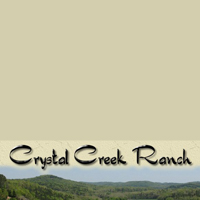 crystal-creek-ranch-horseback-riding-in-mo
