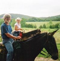 meramec-farm-cabins-horsebackc-riding-in-mo
