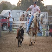 silver-nickel-arena-horseback-riding-in-mo