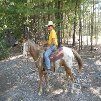 west-plains-training-horseback-riding-in-mo